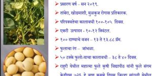 kds 726 - soybean seeds