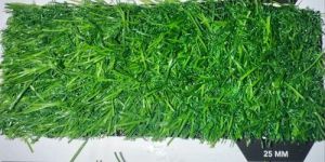 Artificial Grass