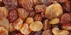 Malayar Raisins