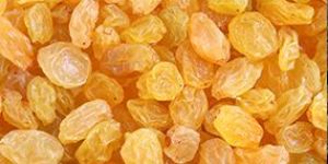 Yellow Raisins