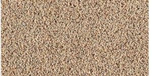 Cut Pile Carpet