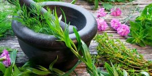 Organic Herbs