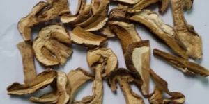 Dried Porcini Mushroom