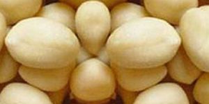 Blanched Bold Peanuts