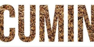 Cumin Seeds