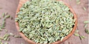 Fennel Seeds