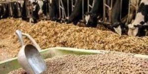 Talc Powder for Animal Feed