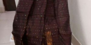 Handloom Sequence Saree