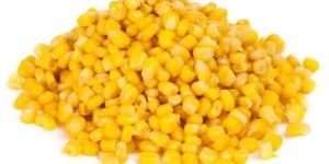 Fresh Sweet Corn Seeds