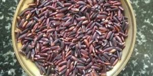 Karuppu Kavuni Black Rice