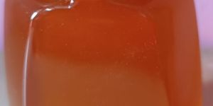 Shantha Food Products - Forest Raw Honey -250gm