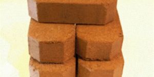 Coco Peat Briquette