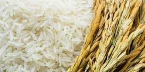 IR 64 Non Basmati Rice