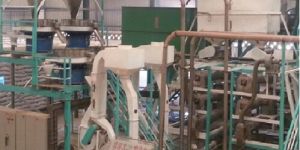 Seed Processing Plant