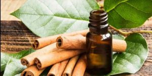 Cassia Oil