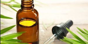 Eucalyptus Oil