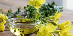 Evening Primrose Oil