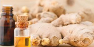 Ginger Oil