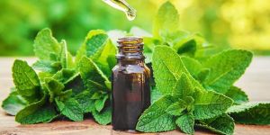 Peppermint Oil