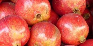 Fresh Pomegranate