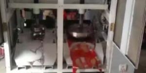 Automatic Double Die Paper Plate Making Machine