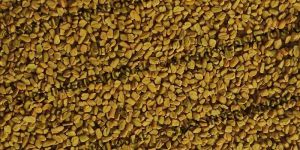 Fenugreek Seeds