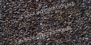 Niger Seeds