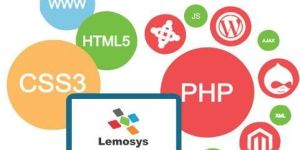 Custom Wesite Development Services