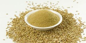 Coriander Powder