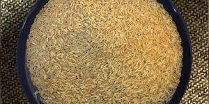 1121 Golden Sella Basmati Rice