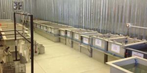 Electroplating Tank
