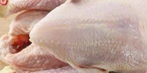 Frozen Chicken