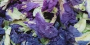 Butterfly Pea Flower