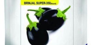 Sikko Brinjal Seed