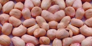 Groundnut Kernels