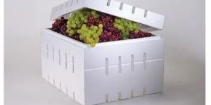 Thermocol Grapes Packaging Box