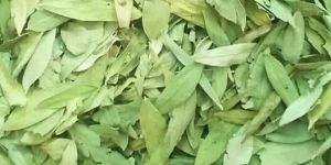 Prime 3 Senna Leaves