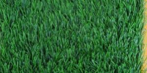 Artificial Grass Carpet