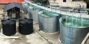 Sewage Treatment Plant