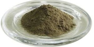 Andrographis Paniculata Powder