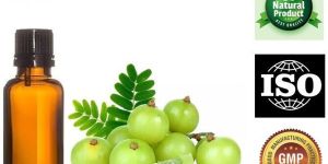 Amla Oil