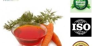 Carrot Seed Oil