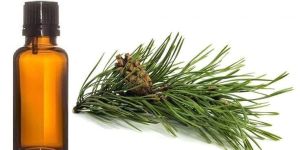 SCOTS PINE ESSENTIAL OIL