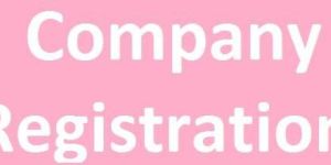 Company Registration Service