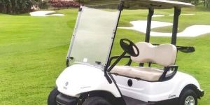 Golf Buggy