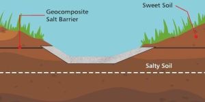 Indodrain Salt Barrier