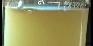 Liquid Natural Clay