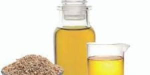 Ajwain Oil