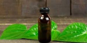 Betel Leaf Oil
