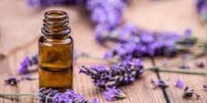 Lavender Oil